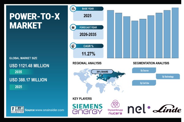 Power-to-X (P2X) Market Size & Share Report