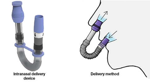 Intranasal delivery device