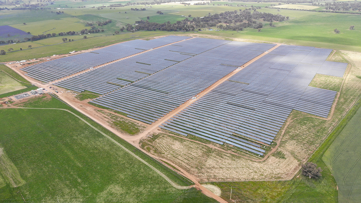 MolongSolarFarm