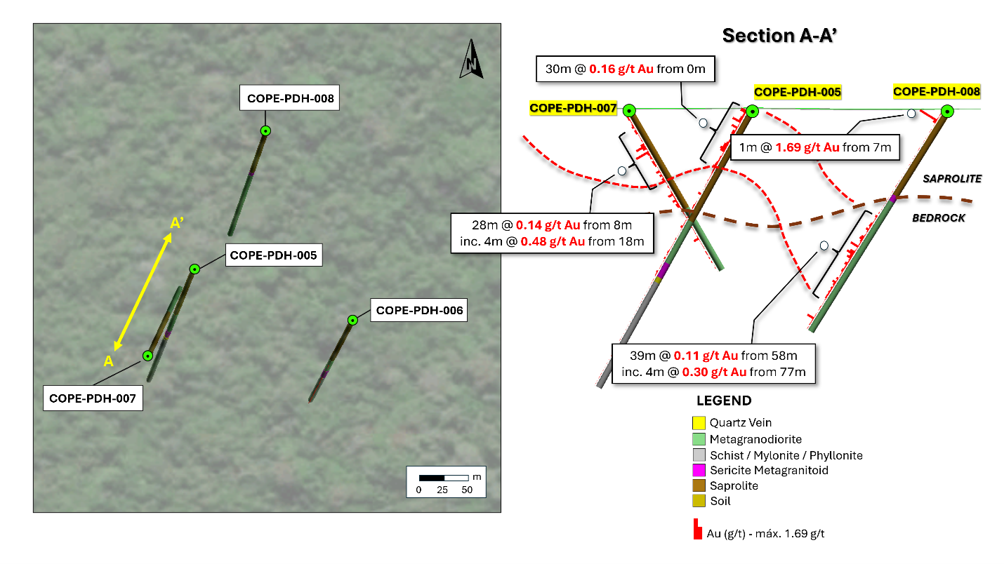 Figure 2 image