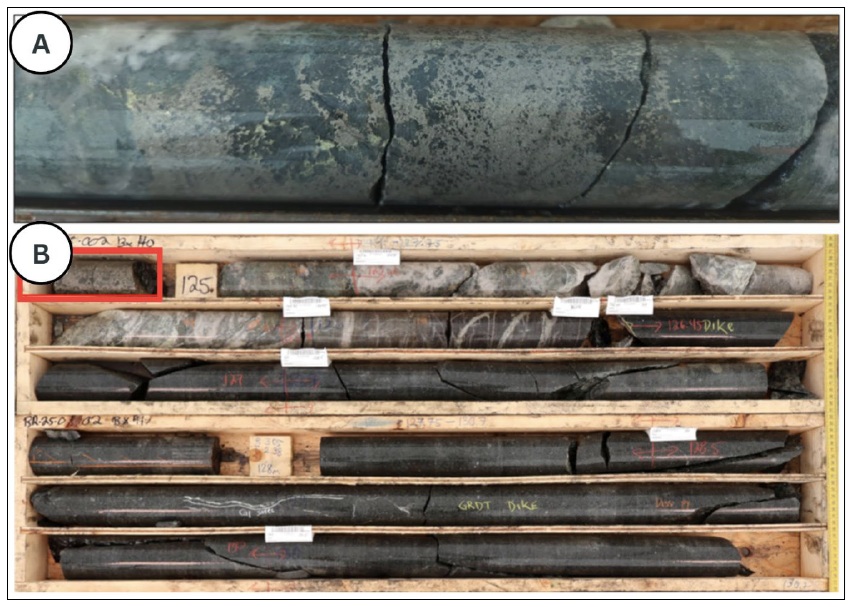 Hole BR25-002 at 125m. (A) Closeup of massive pyrrhotite > chalcopyrite in skarn zone approaching contact with a thick granodiorite dyke. Interval 124.7- 126.5 contains 1.51% CuEq.
