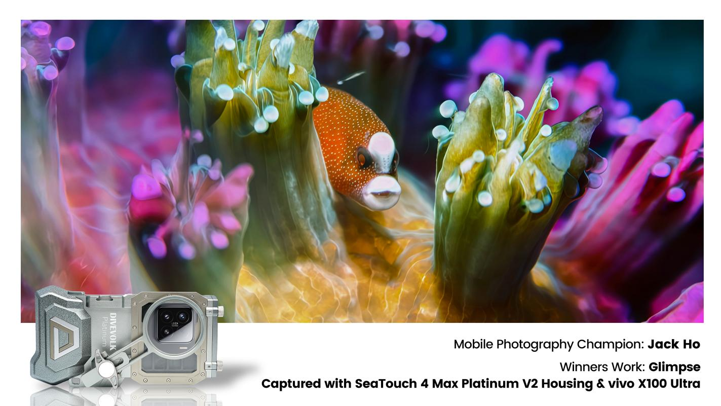 “Glimpse” by Jack Ho — UWPA 2026 Mobile Photography Winner. Shot with Vivo X100 + DIVEVOLK housing