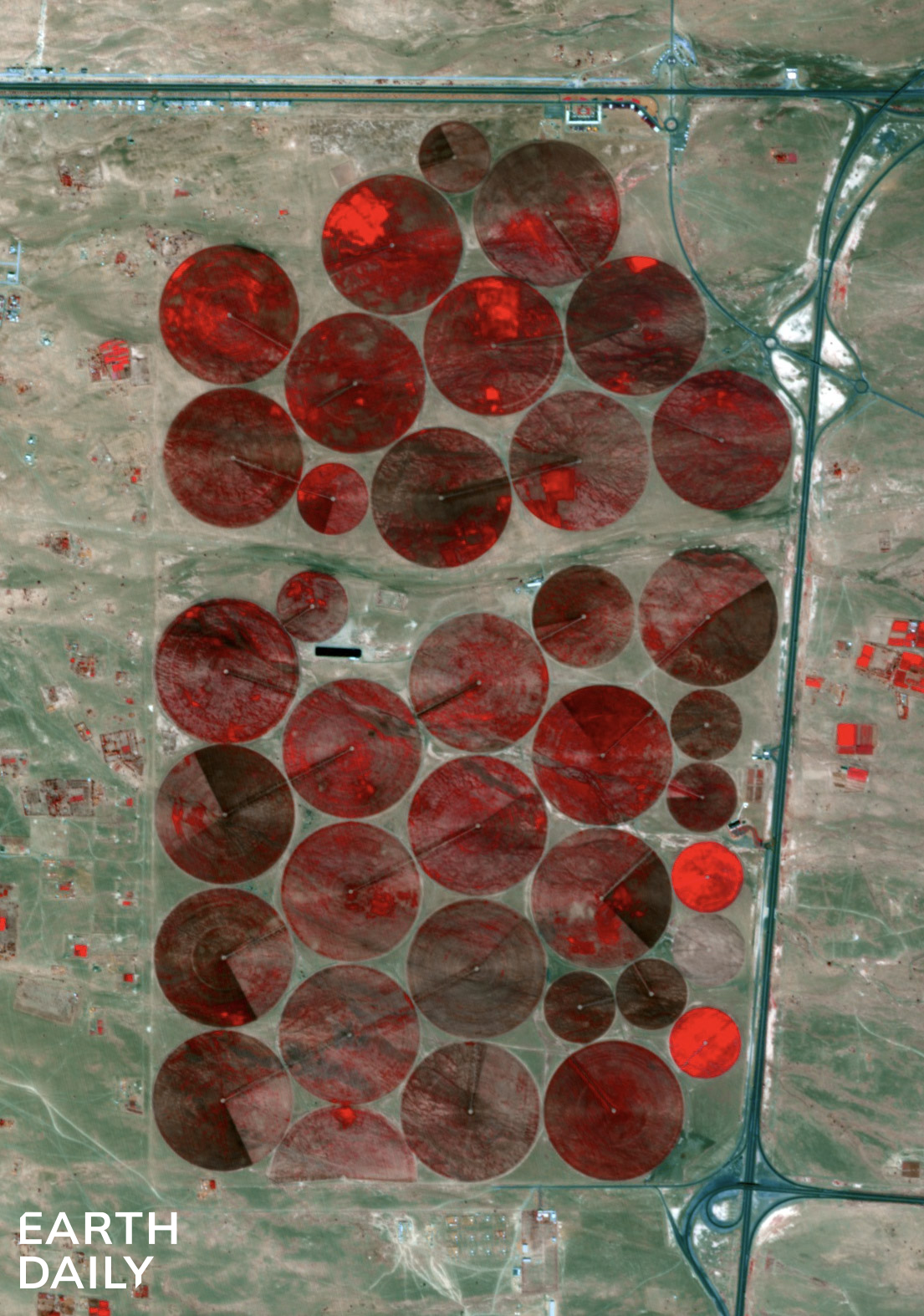 False-color image of irrigation fields captured by EarthDaily’s EDC-01 satellite in February 2026.