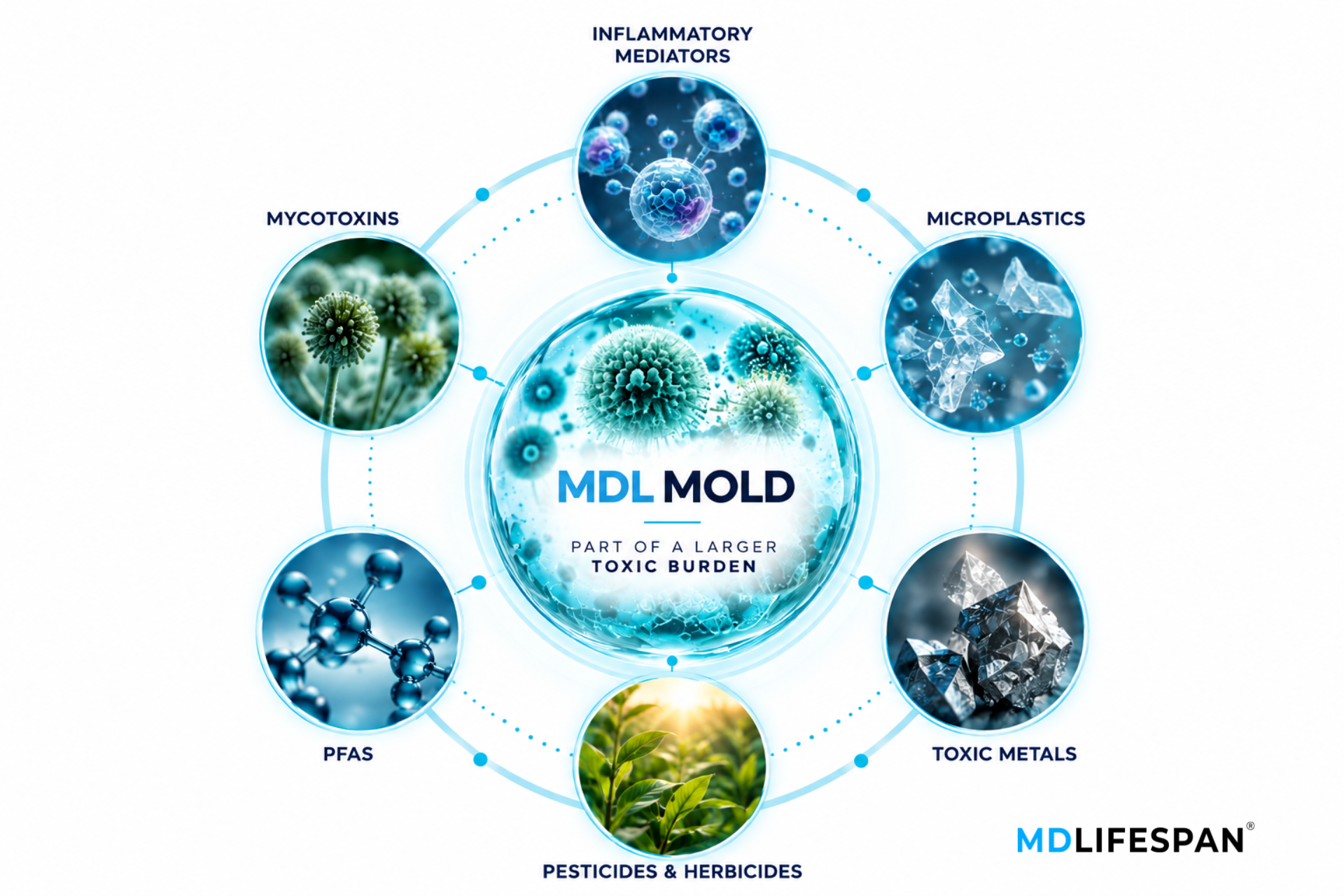 Mold webinar MDLifespan 2026 