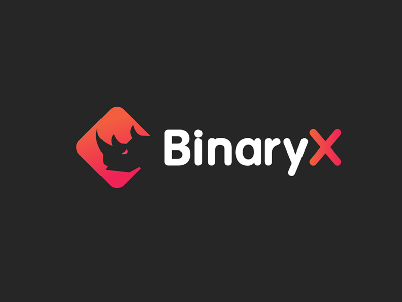 BinaryX Announces RhinoX NFT Collection, Sets Sale on June 6