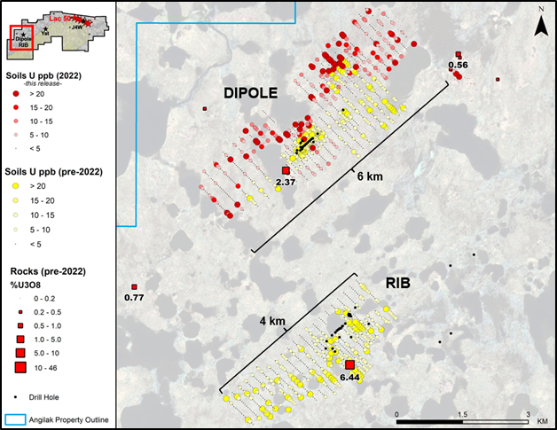 Figure 3: Enzyme Leach soils geochemistry at the Dipole and RIB targets, showing 2022 and historical data. 