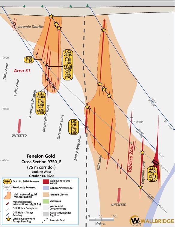 Fenelon Gold, 9750_E Cross Section