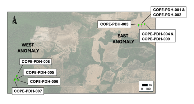 Figure 1 image