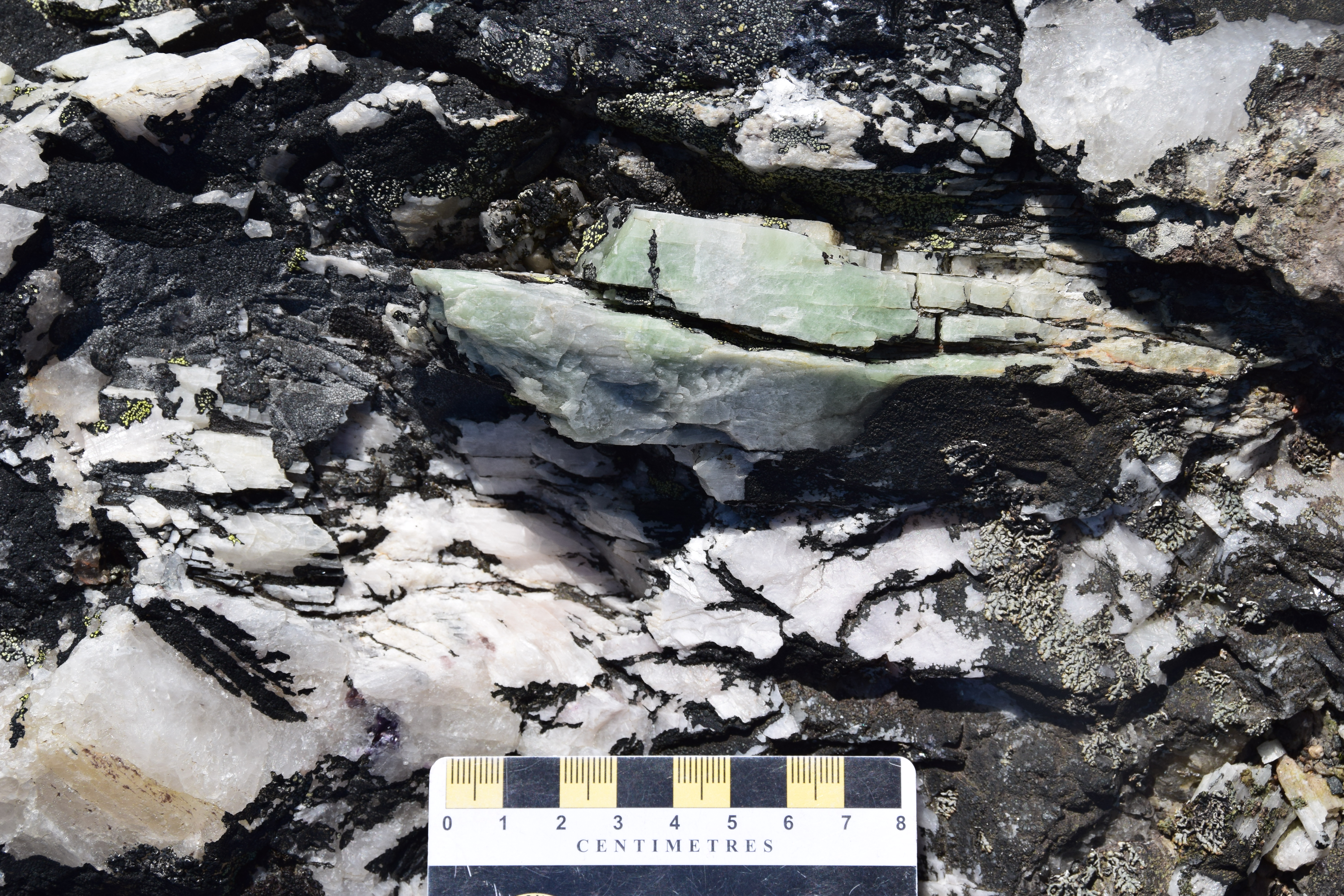 Brunswick Exploration