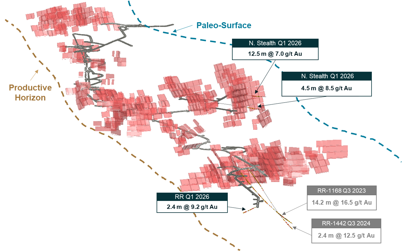 Curlew Cross Section