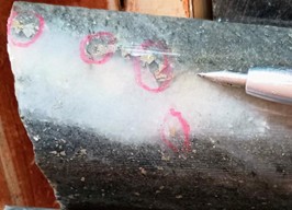 P17 Drill Core Photos - highlighting visible gold within higher-grade sub-zone