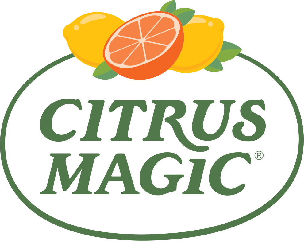 Citrus Magic will launch “You have the magic touch” in 2024