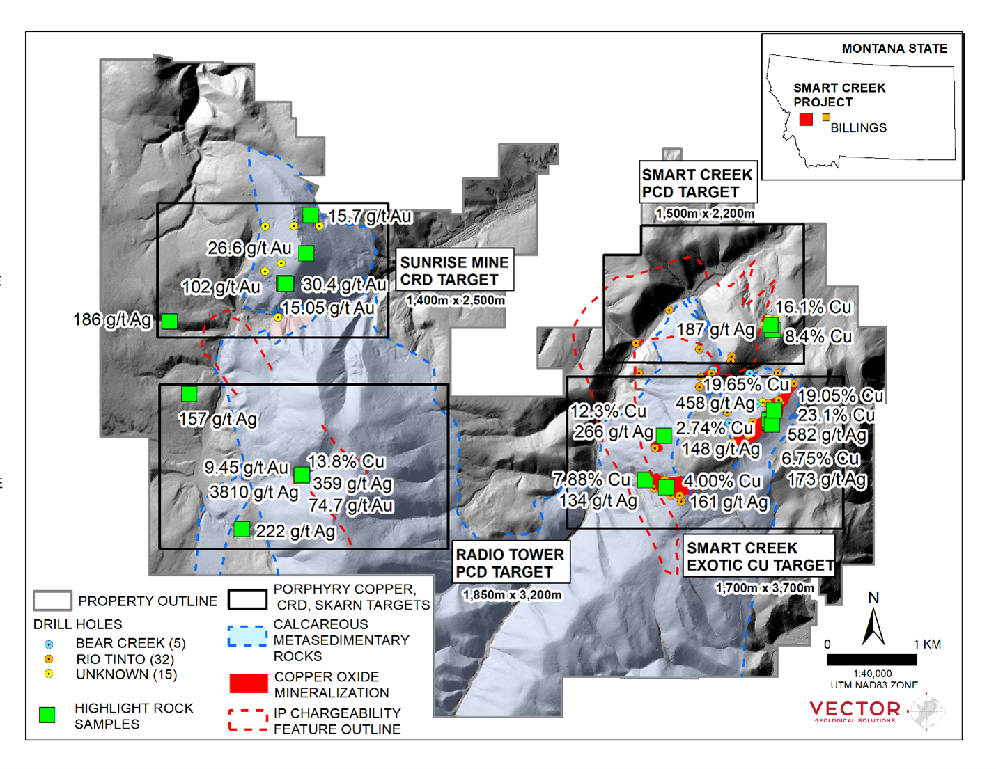 Figure 1 image