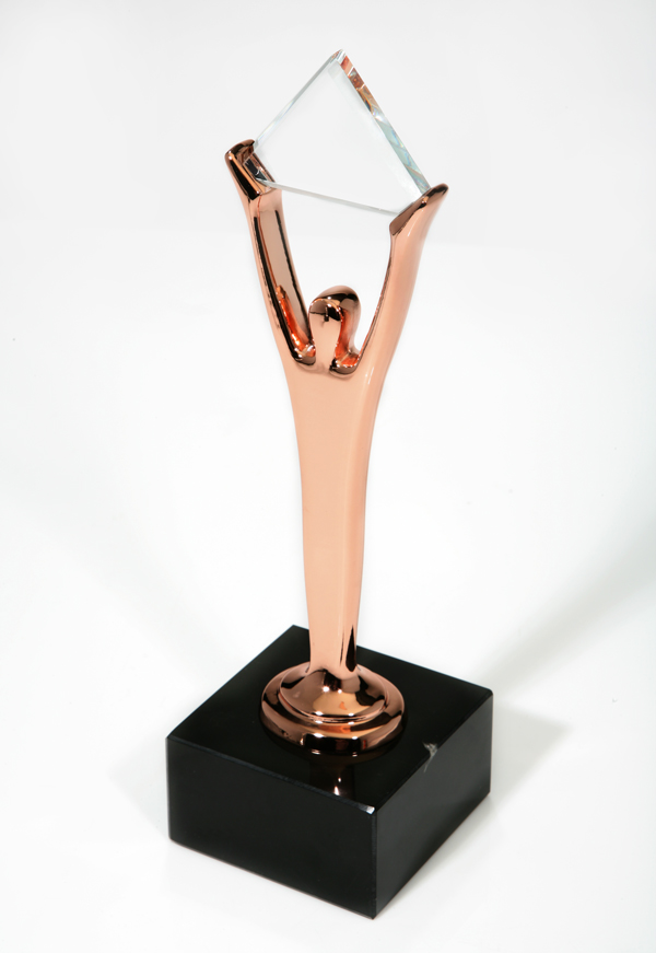 HCSS Bronze Stevie Award