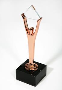 HCSS Bronze Stevie Award