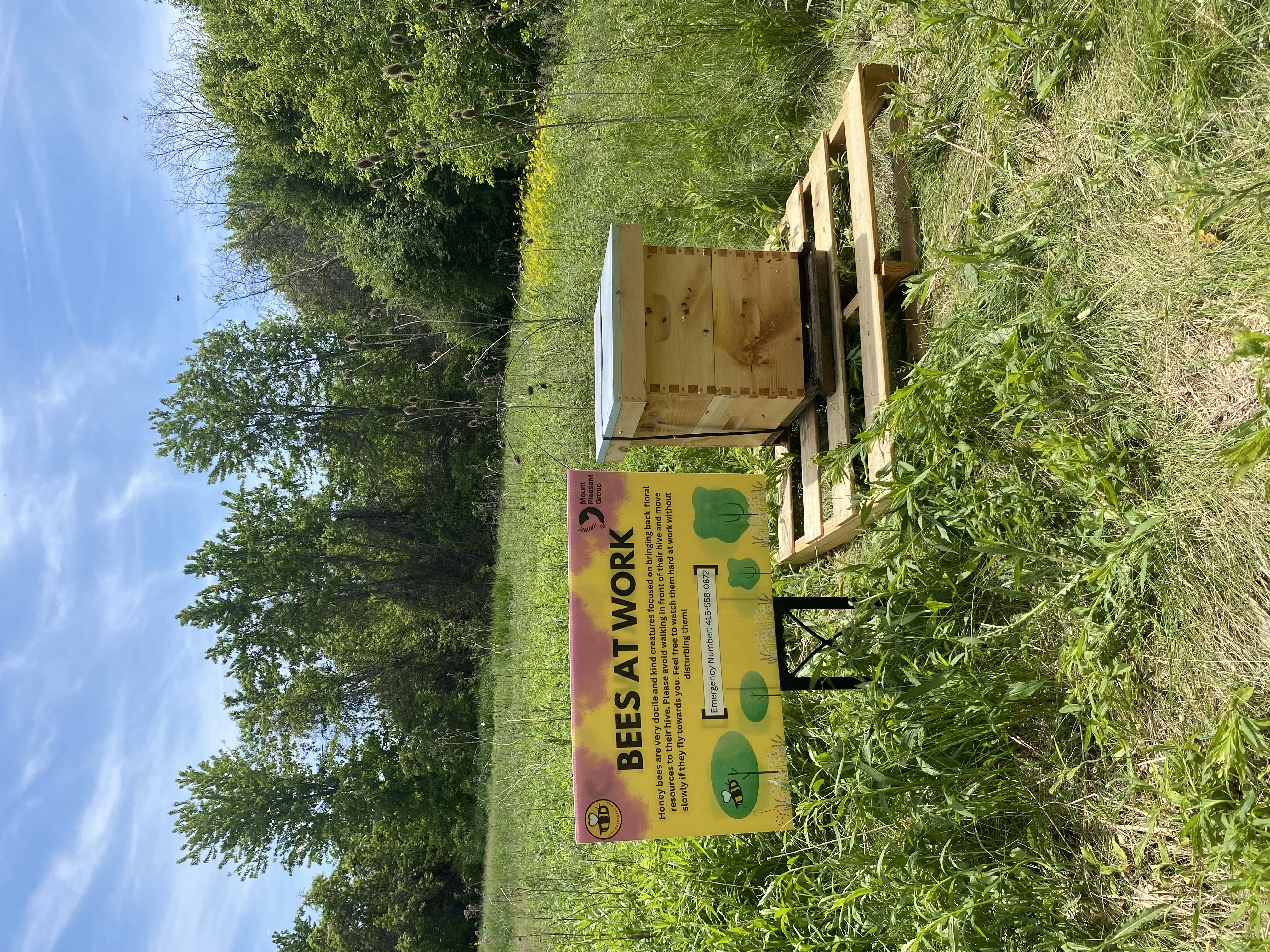 Bees at making honey at four Mount Pleasant Group cemeteries