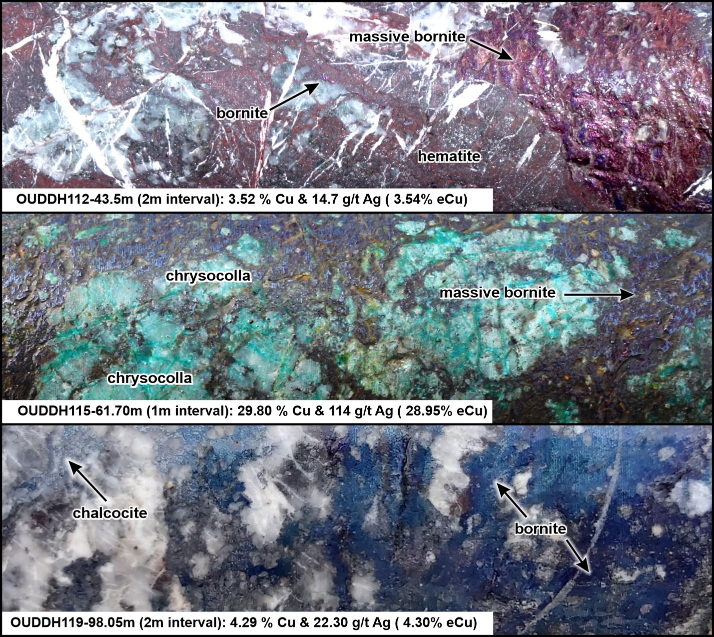 FIGURE 4: