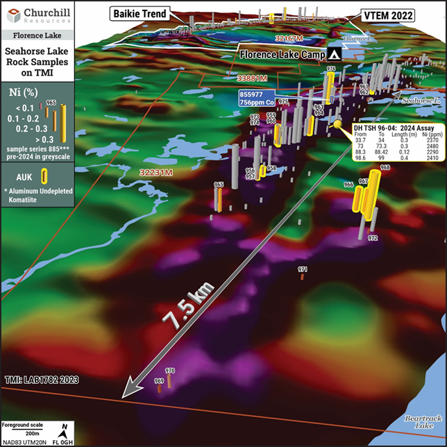 Seahorse Lake Total Magnetic Intensity with 2024 and Falconbridge Surface Sampling