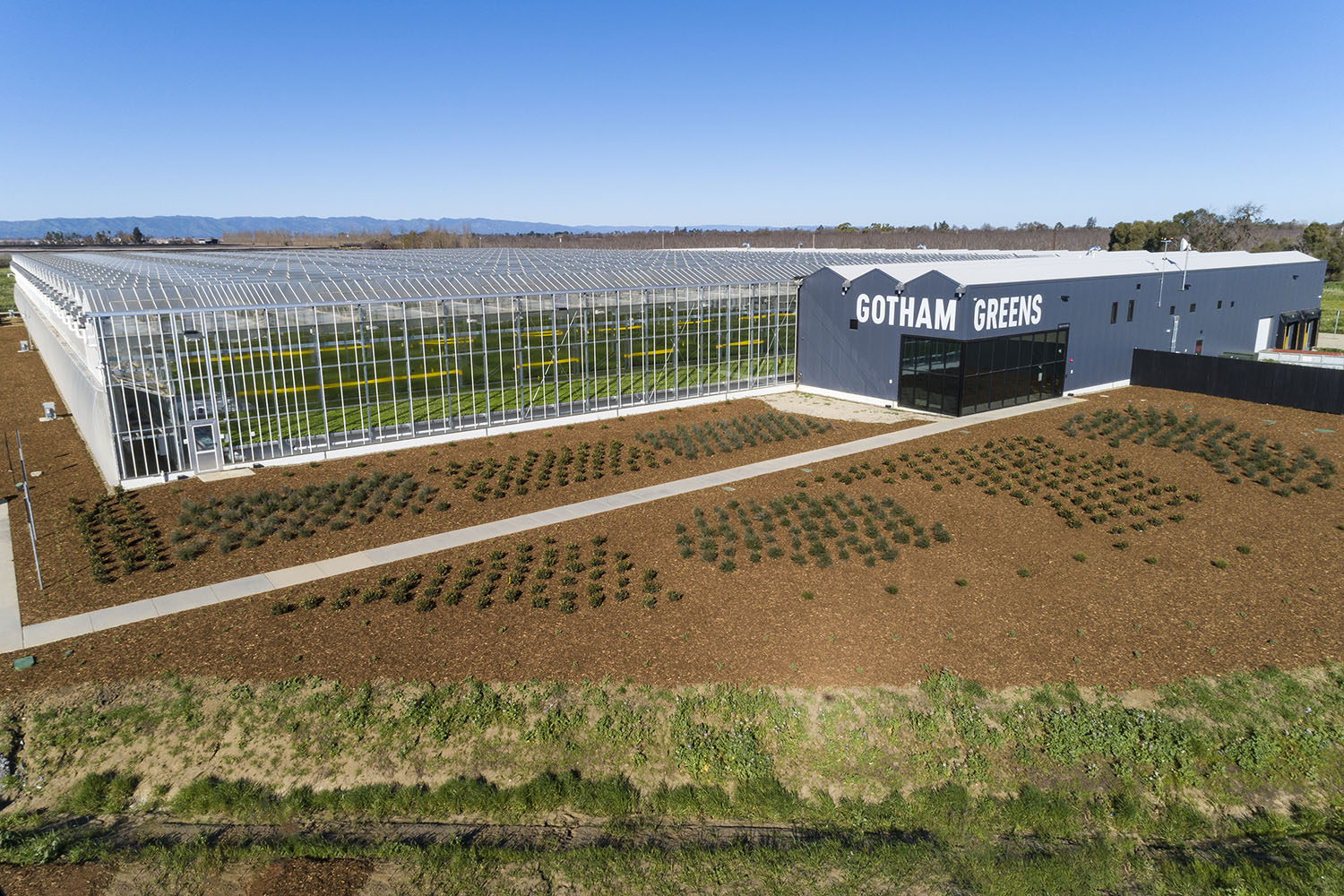 Tour Gotham Greens, an Urban Rooftop Farm in Brooklyn