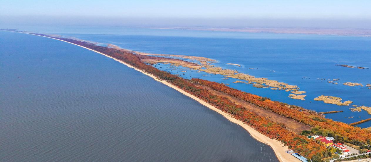 The autumn landscape of the Xingkai Lake embankment in Mishan, Jixi City, Heilongjiang Province (drone photo): The autumn landscape of the Xingkai Lake embankment in Mishan, Jixi City, Heilongjiang Province (drone photo)