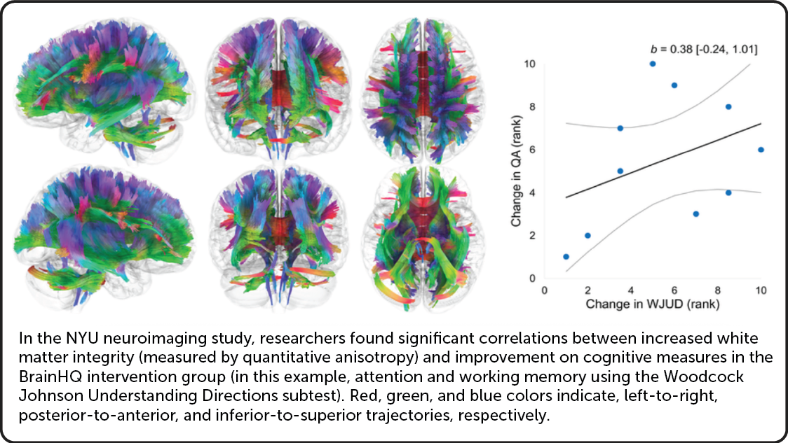 Breakthrough Shown to Cut Dementia Risk, Now Found to Help Repair Brain Injuries