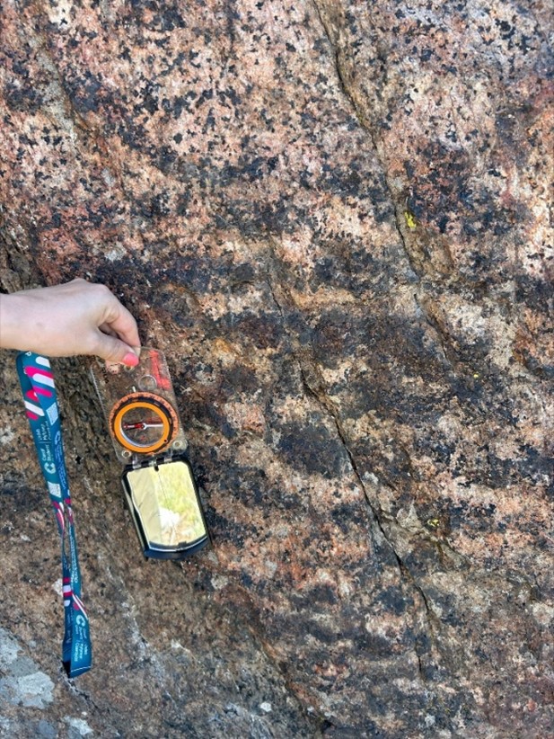 Figure 5 – Example of Localized area of foliated texture in outcrop with bands of mafic minerals from Red Mountain