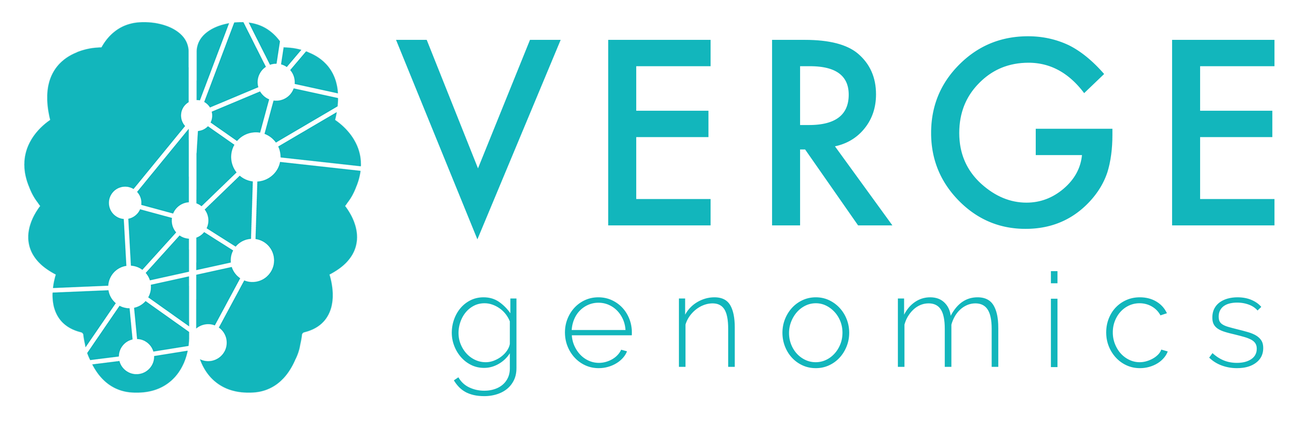 Verge Logo.png