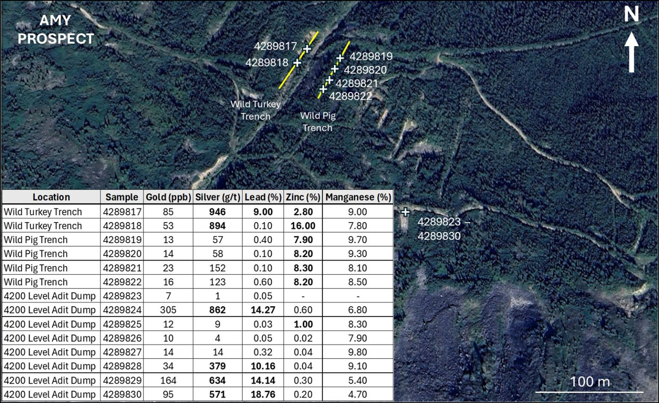 Previous sampling results from the Amy property