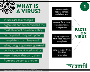 CamfilWhat is Virus Infographics