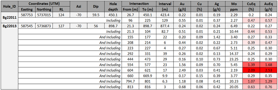Summary table for drill holes Bg22011 and Bg22013