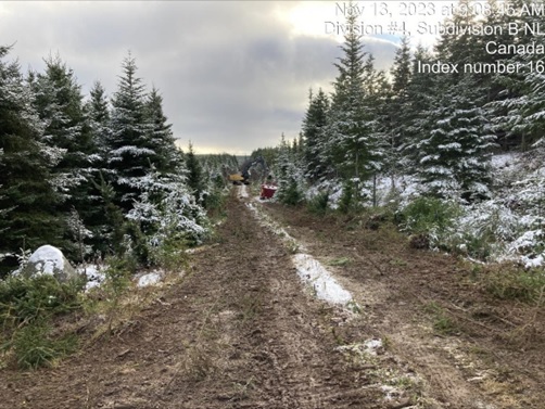 Figure 3: Forest Road access leading towards the drill pad.