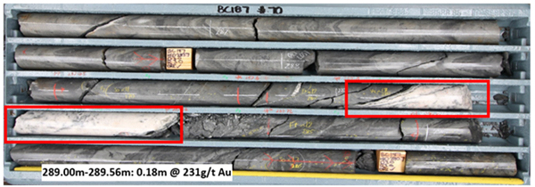 Figure 6. Photograph of BC187 core through the Western Veining.