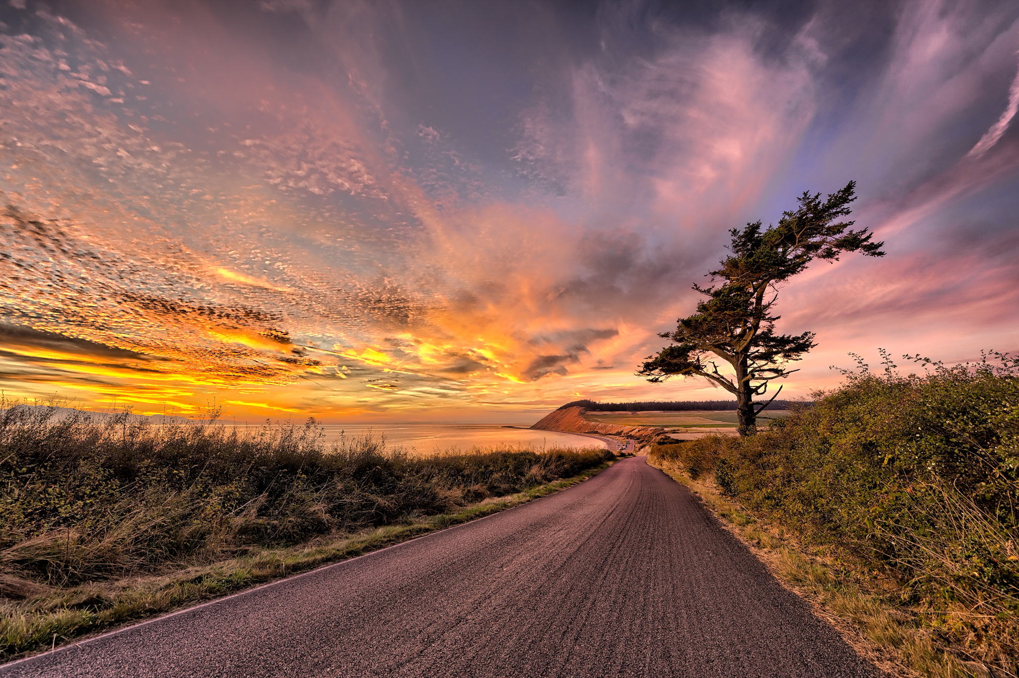 Credit M. Denis Hill_Whidbey Island Ebeys Landing