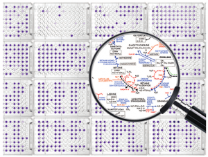 Phenotype MicroArray