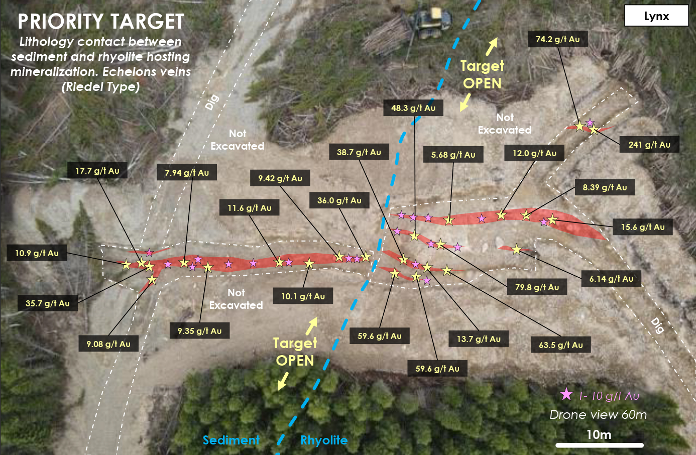 Figure 2: Arial Drone View (60m height) from the Lynx Gold Zone with Wood Cutting in Progress