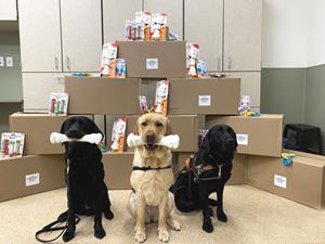 Future Guide Dogs Holding Donated Nylabone Chew Toys in their mouths in front of donation boxes.