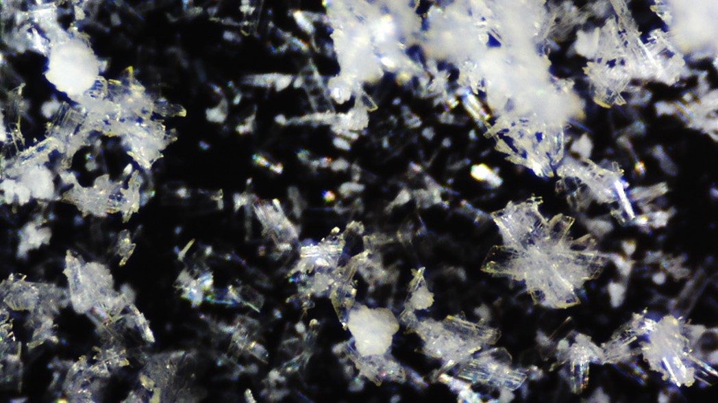 Dihydrate Gypsum Crystals