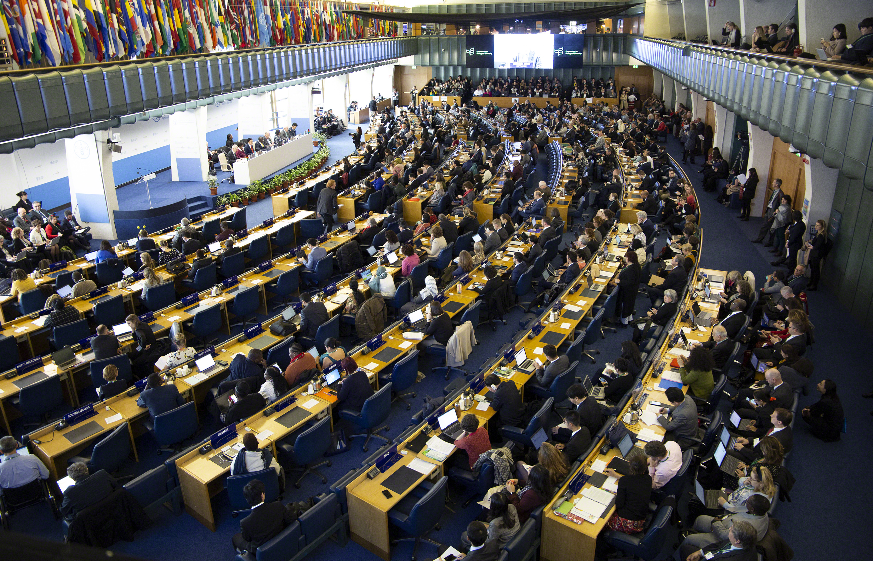 The global biodiversity strategy is currently being renegotiated (here at the Open-ended Working Group on the Post-2020 Global Biodiversity Framework, Feb. 2020 in Rome)
Photo by IISD/Mike Muzurakis (enb.iisd.org/biodiv/post2020/oewg/2/24feb.html)
