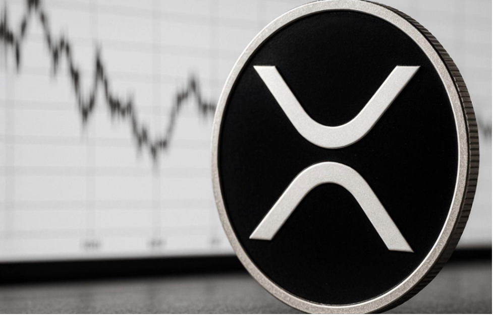 XpFinance