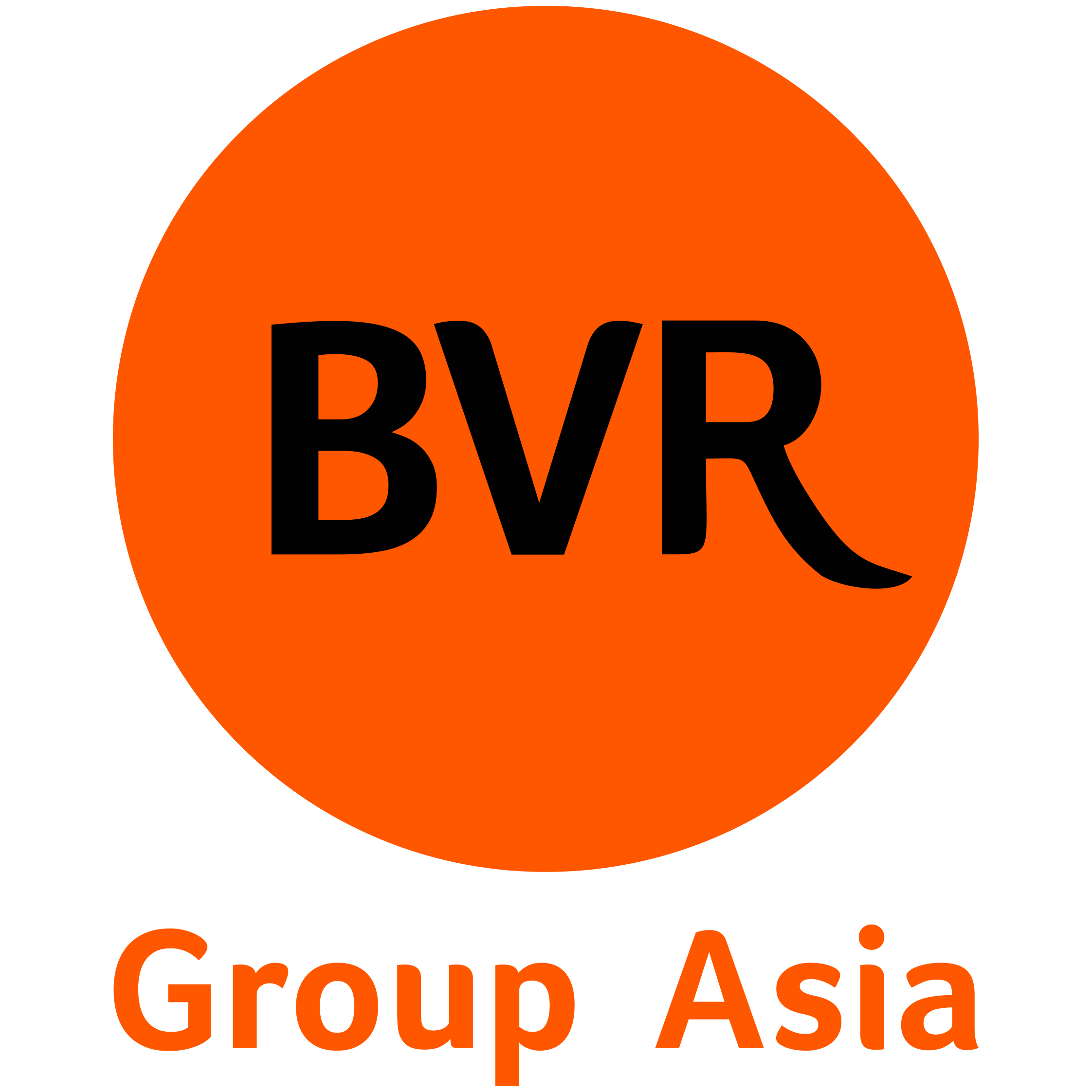 BVR GROUP Logo.png