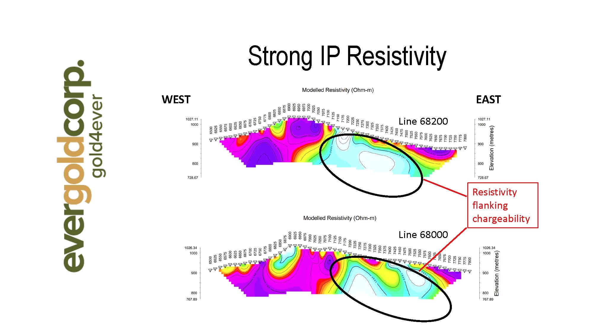 Figure 6 - DEM IP Resistivity
