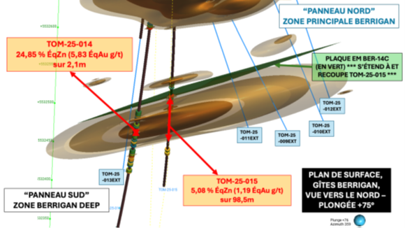 Programme de forage de phase 2 de 1 500 m de TomaGold visant à tester la zone Berrigan Deep récemment découverte