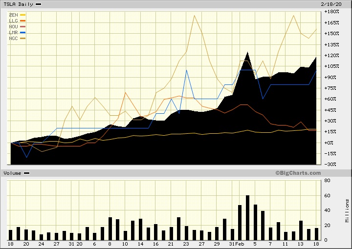 Tesla Stock Price Percentage Increases followed by Graphite Junior Companies