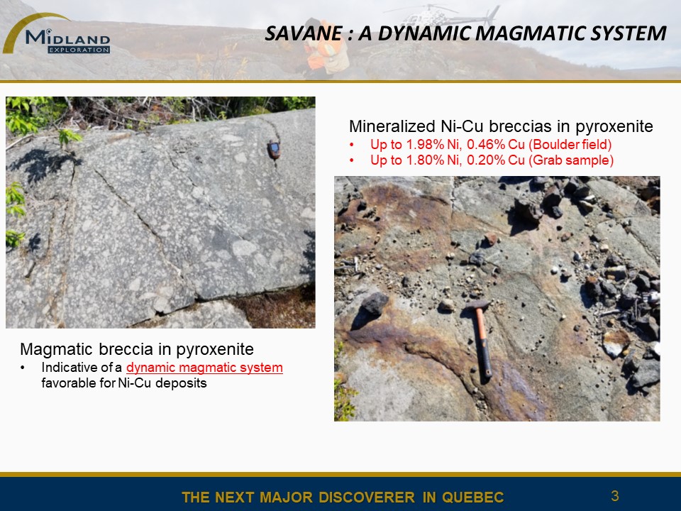 Figure 3 Savane Ni-Cu showing