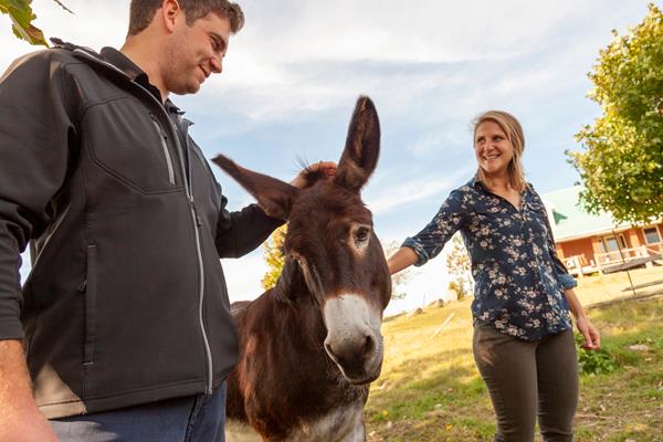 Justin Bell, TD Account Manager, and Kate Powell, ALUS Peterborough Coordinator, meet a friendly donkey at an ALUS project site in Indian River, Ontario, while visiting Heffernan farm.