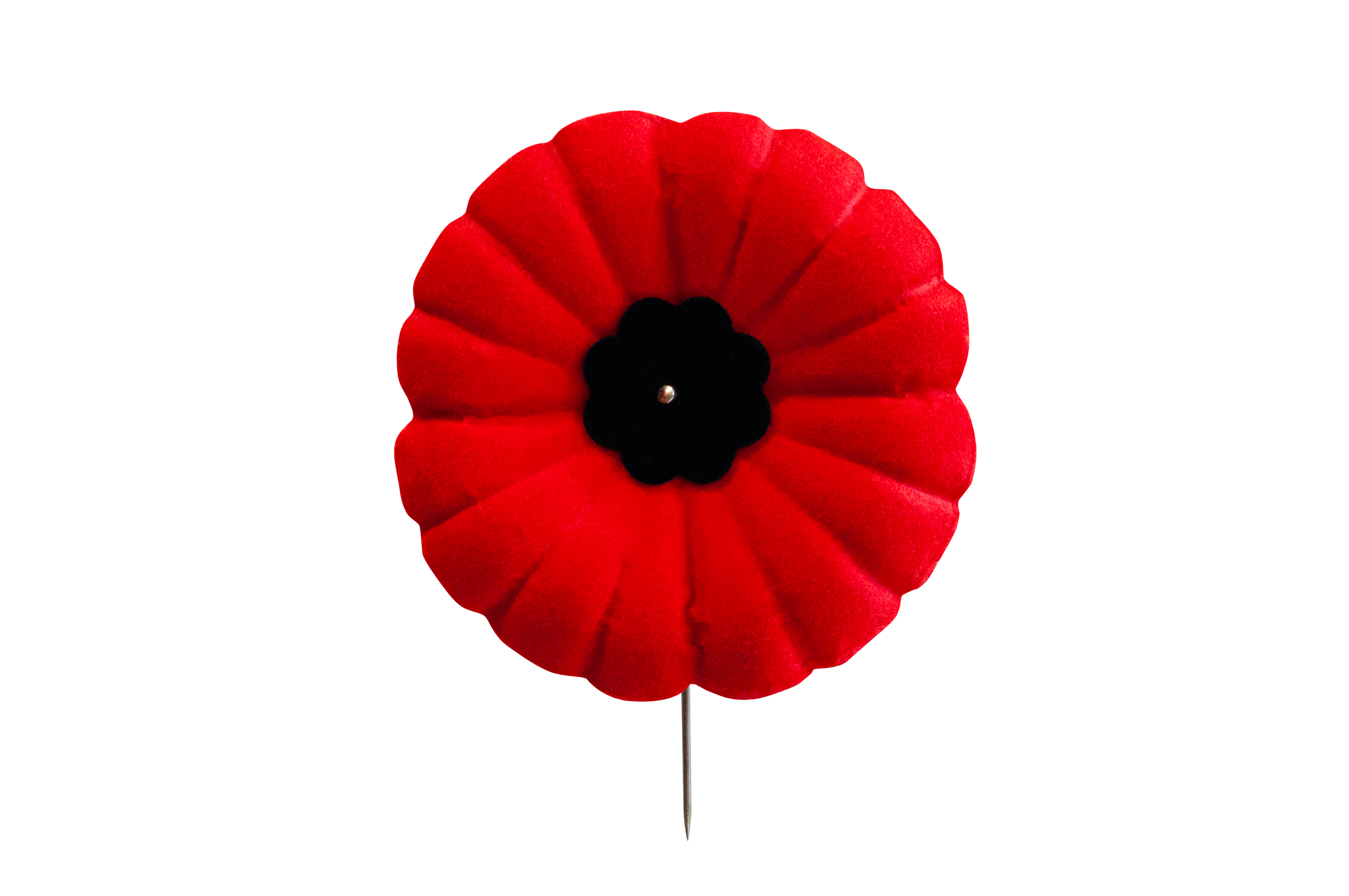 Lapel Poppy 2024