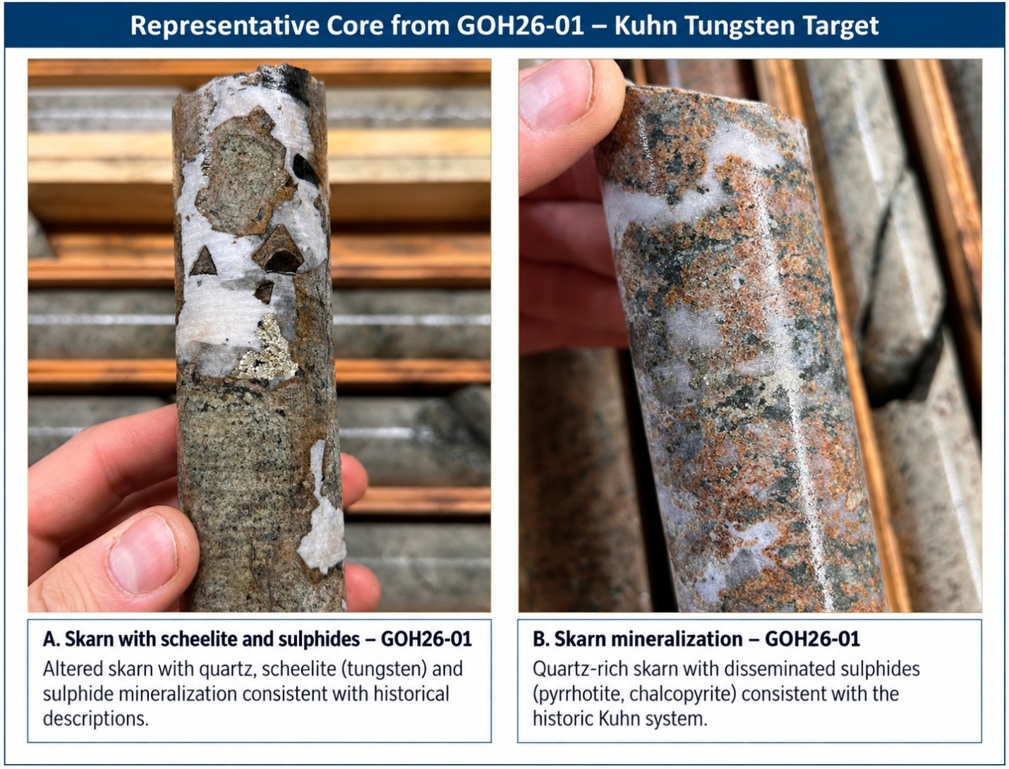 Representative drill core from GOH26-01 at the Kuhn tungsten target, showing skarn alteration, quartz veining and sulphide mineralization. Assays are pending.