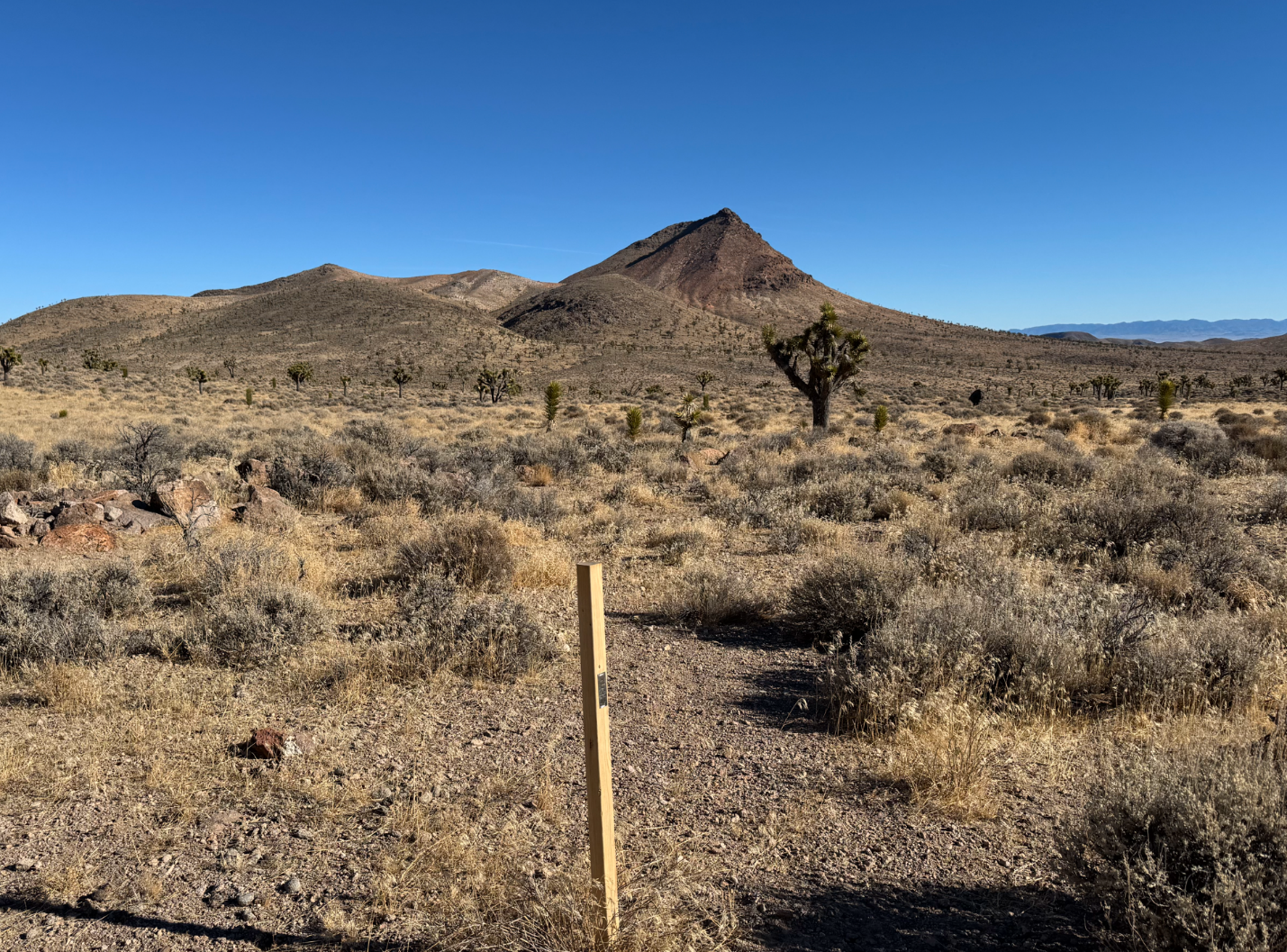 Fig 4. Photo of advanced argillic alteration in the rhyolite dome at Celts. Photo looking towards the northeast. 