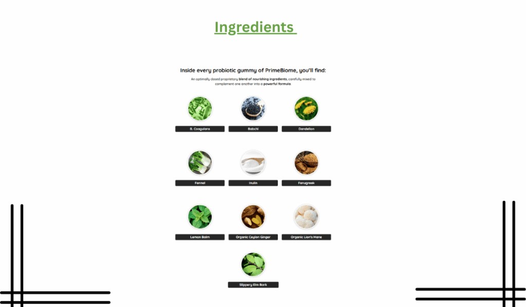 Prime Biome Ingredients