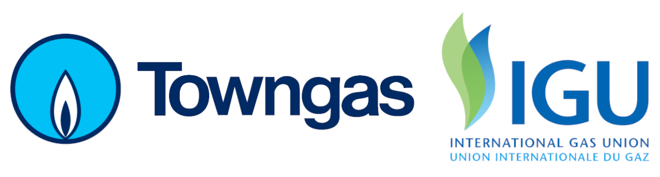 The Hong Kong and China Gas Company Limited